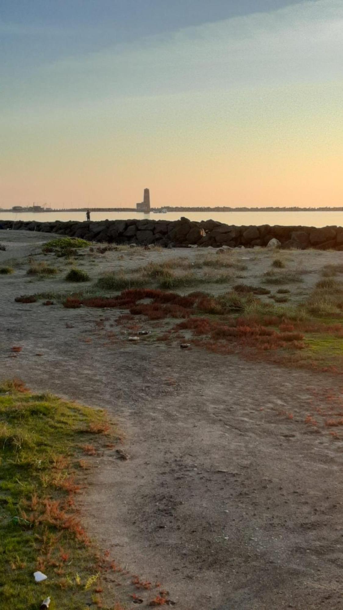 La Terrazza Sul Faro Daire Fiumicino Dış mekan fotoğraf