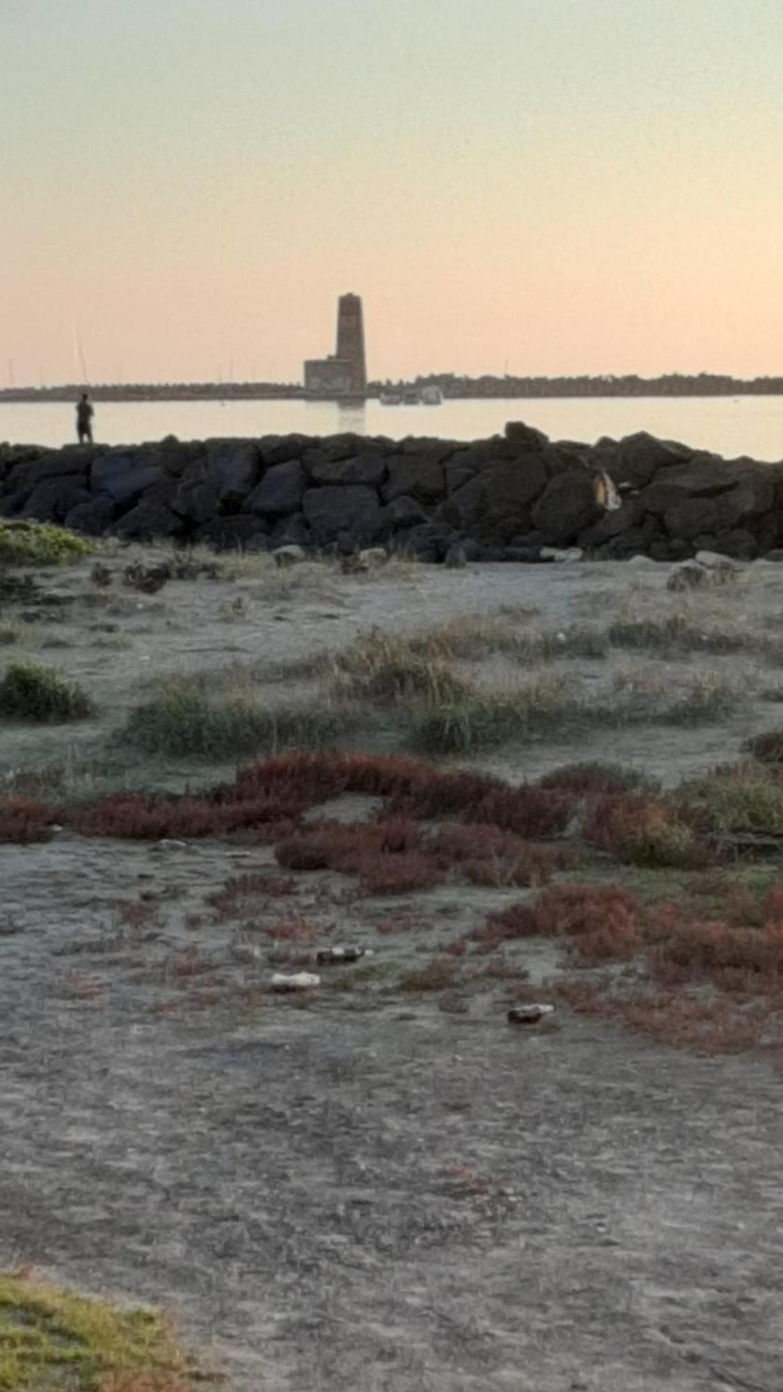 La Terrazza Sul Faro Daire Fiumicino Dış mekan fotoğraf